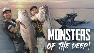 HUGE BAITS = HUGE FISH! Season 6 EP1 Tauranga