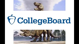 u/dinosauce313 and How CollegeBoard is Handling Cheating, Glitches