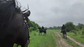 прогулка на кабардинских лошадях...