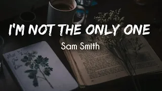 Sam Smith - I'm not the only one (slowed and reverb with lyrics)