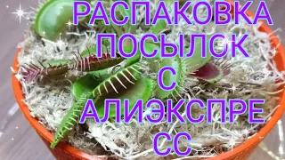 Распаковка посылок с алиэкспресс 🕵‍♀