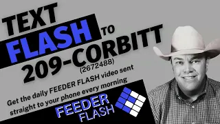 Feeder Flash 5/28:  Bullish Neutral