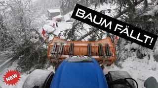 ❄Winterdienst❄ Wir müssen einen Baum fällen! #winter #snowplow #safety #snow #viral