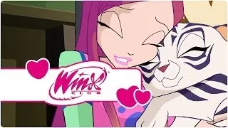 Winx Club - Season 4 Episode 14 - 7: the perfect number (clip1)