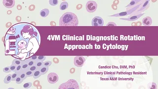 【Veterinary Cytology】Approach to Cytology