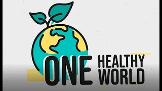 How Diet Can Change Your Life with Dr. Neal Barnard | One Healthy World