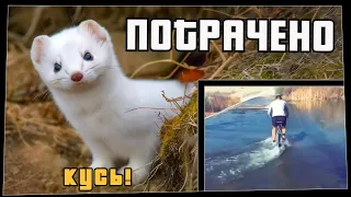 ПОТРАЧЕНО. Кусь! Лучшие приколы 2020, смешные видео и фейлы