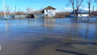 Потоп 2024 Апрель Начало. Старый Колутон . Астраханский район. Акмолинская область.