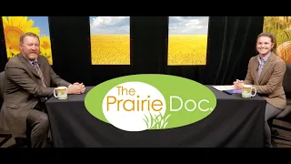 Our Precious Lungs | On Call with the Prairie Doc® | October 22, 2020