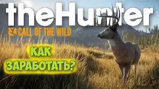 КАК ЗАРАБОТАТЬ БЫСТРО ДЕНЕГ - ОХОТА - The Hunter: Call of the Wild #5