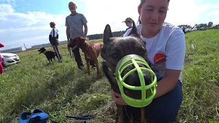 Курсинг. Квалификация. Новый Милет. СК КДЦ Тори.