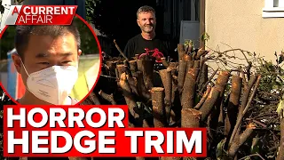 Homeowner’s horror hedge trim leads to dispute with neighbour | A Current Affair
