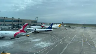 Международный терминал Домодедово. Самолет Белавиа подъезжает к гейту. Май 2021.