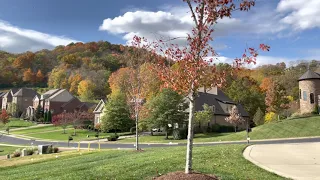 iPhone 12 Pro 4K60p HDR Video Sample