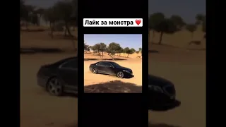 Mercedes против песка 😱😱