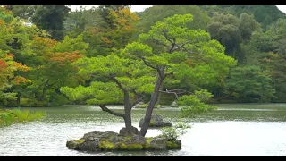 ZEN ☯ Gärten im japanischen Stil🧘‍♀️ Schönheit aus Fernost💚 Meditation Musik🎵🧘‍♀️Buddhismus