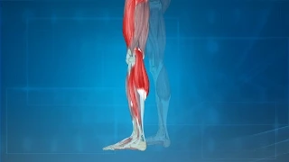 Leg Cramps: Treatment, Causes, Prevention