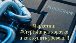 Маркетинг CryptoHands коротко и как купить уровень в проекте Криптохендс