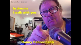In Dreams   Danny Fehrenbach