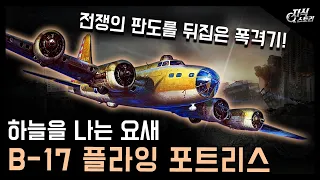 일본이 엄청 무서워하는 폭격기, 하늘을 나는 요새 "B-17 플라잉 포트리스" / 역사상 가장 성공적인 폭격기! [지식스토리]