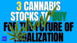 3 Cannabis Stocks to Buy for the Future of Legalization