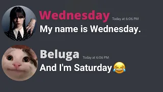 When Beluga meets Wednesday...