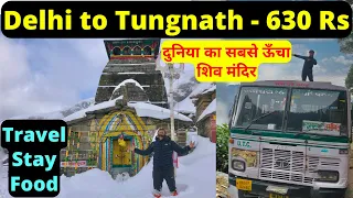 Delhi to Tungnath Temple in 630 Rs | Travel | Stay | Food | 2022