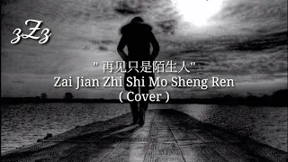 "Zai Jian Zhi Shi Mo Sheng Ren" ( Cover )