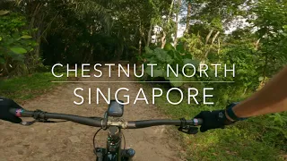 Chestnut North MTB Trail (RAW) | Singapore | GoPro Hero9