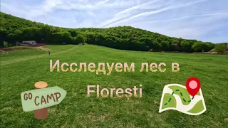 Пошли исследовать лес, в районе Flotest, Cluj Napoca