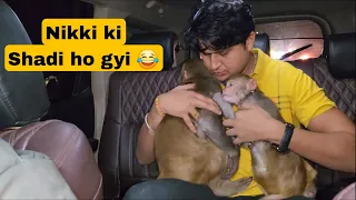 Nikki का दोस्त आ गया  // Sumit cool lifestyle