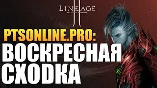 Lineage 2 - СХОДКА НА СЕРВЕРЕ #2