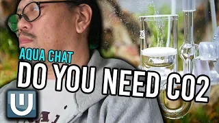 Do You Need Co2 for a Planted Tank? | Aquachat 006