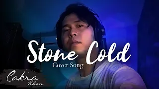 Stone cold - Demi lovato ( cover )