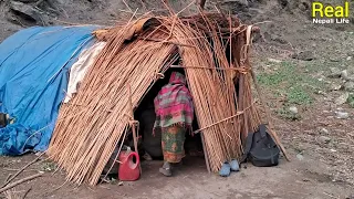 Himalayan Village Life | Nepal | Sheep Shepherd Life in Winter | Shepherd Food Cooking and Eating |