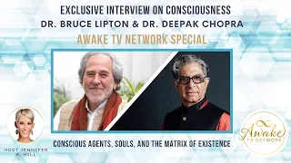 Conscious Agents, Souls, and The Matrix of Existence