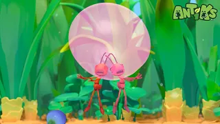 Bubble Trouble 🫧 | ANTIKS | Moonbug Kids - Funny Cartoons and Animation