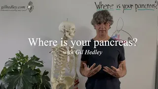 Where is your Pancreas? Learn Integral Anatomy with Gil Hedley