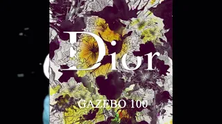 DIOR - GAZEBO 100 (Official Audio)