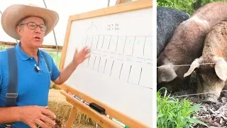 Joel Salatin Teaches Pasture Pigs (for Profit)