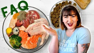 Pet Nutritionist Answers Raw Food Frequently Asked Questions | Raw Pet Food FAQ