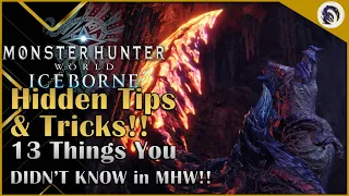 13 Tips and Tricks You DIDN'T KNOW in Monster Hunter World & Iceborne