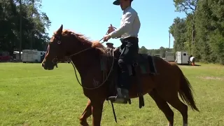 How To Calm Down A Hot Horse