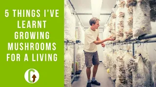 5 Things I Wish I Knew Before I Started Growing Mushrooms For A Living | GroCycle