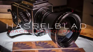 Medium Format Film Macro Photography With the Hasselblad 501CM | Negative Review