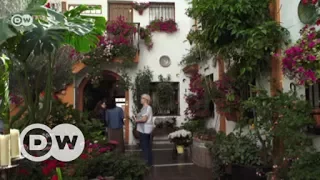 The patios of Córdoba |  DW English