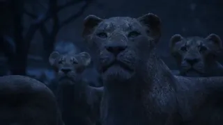 Lion King 2019 - Circle of life [Reprise] (Tamil) Subs & Trans