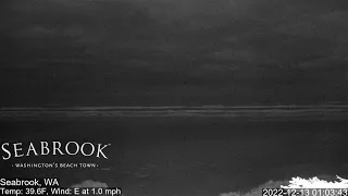 Seabrook Washington Beach Camera