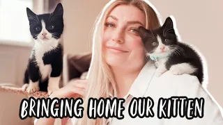 Bringing Home Our Kitten | My 8 Week Old Tuxedo Kitten | First 24 Hours with a Kitten