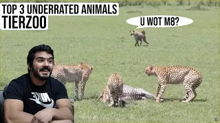 Top 3 Underrated Animals (Feat. Vsauce3) (TierZoo) CG Reaction